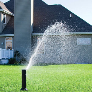 Popup Sprinklers