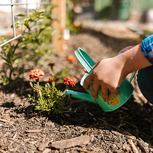 a child watering a plant in a garden mulched to prevent weeds